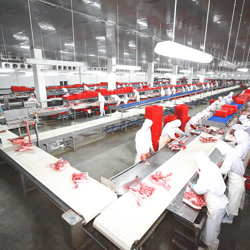 生豬分割剔骨解決方案